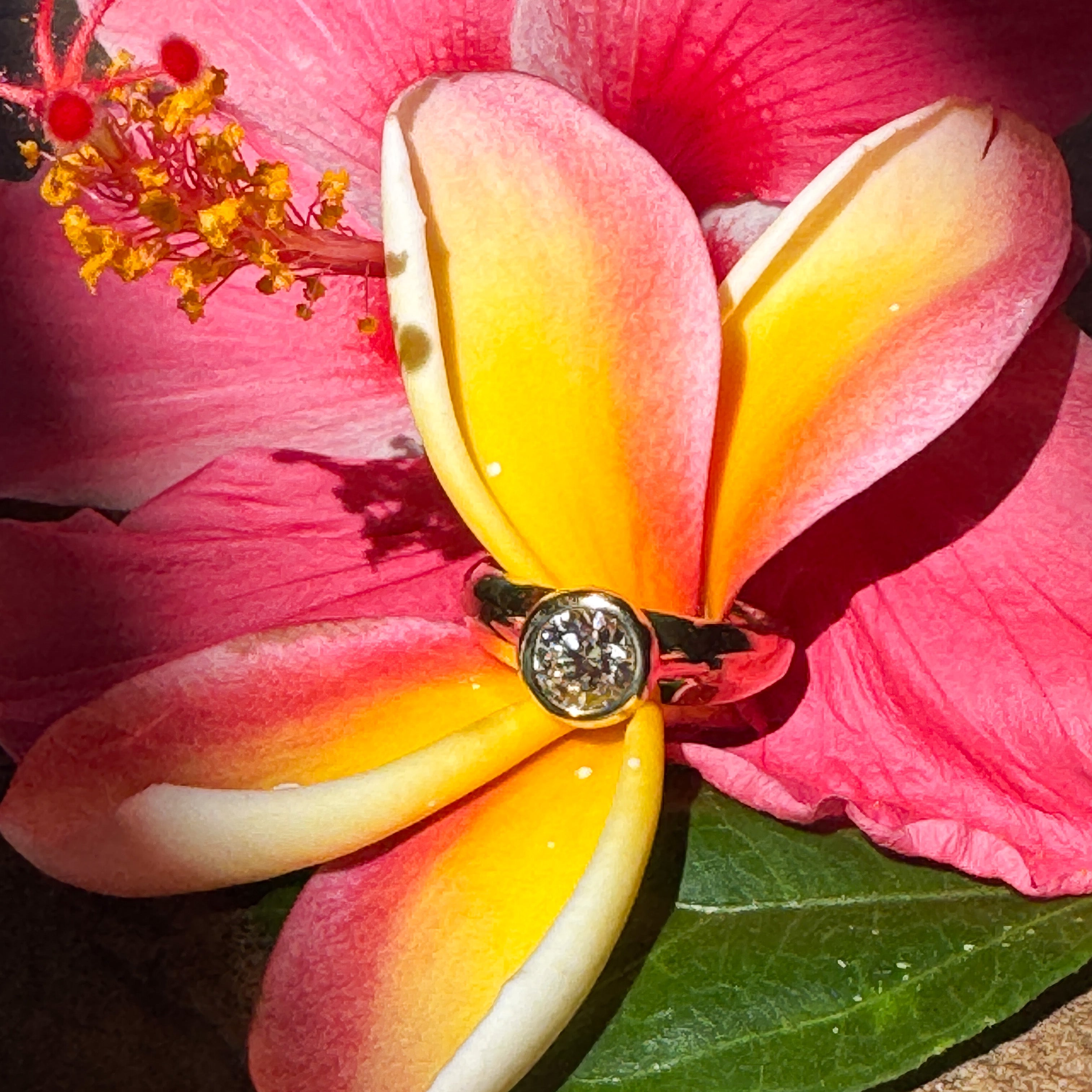 Champagne Kisses – Jolica Jewels