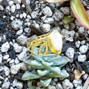 Amalfi-Freshwater Coin Pearl Ring