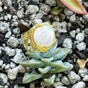 Amalfi-Freshwater Coin Pearl Ring