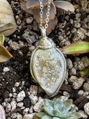 Mandala-Fossilized  Drusy Shell Necklace- Sterling silver